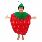 Strawberry-Costume