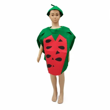 watermelon costume